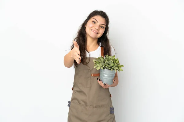 Joven Jardinero Ruso Sosteniendo Una Planta Aislada Estrechando Las Manos — Foto de Stock