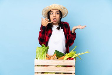 Genç çiftçi kadın elinde taze sebzelerle ahşap bir sepetin içinde telefon jesti yapıyor.