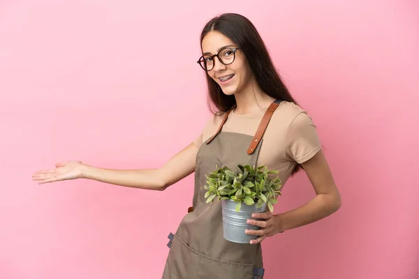 Menina Jardineiro Jovem Segurando Uma Planta Isolada Fundo Rosa Estendendo — Fotografia de Stock