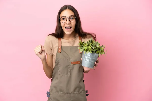 Jong Tuinman Meisje Houden Een Plant Geïsoleerd Roze Achtergrond Vieren — Stockfoto