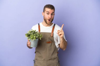 Bahçıvan beyaz adam sarı arka planda bir bitki tutuyor. Çözümü bulmak için parmağını kaldırıyor.