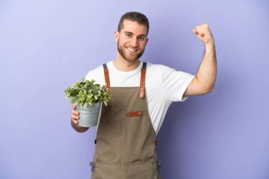 Bahçıvan Kafkasyalı bir adam sarı arka planda izole edilmiş bir bitki tutuyor güçlü bir hareket yapıyor.