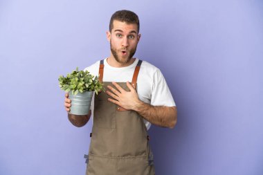 Bahçıvan Kafkasyalı bir adam sarı arka planda bir bitki tutuyor şaşırmış ve şaşırmış görünüyor.