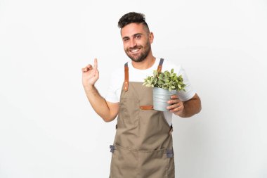 Bahçıvan, beyaz arka plan üzerinde bir bitki tutuyor.