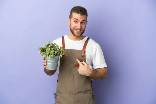 Jardinero Hombre Caucásico Sosteniendo Una Planta Aislada Sobre Fondo Amarillo —  Fotos de Stock