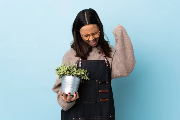 Junge Brünette Mischlingsfrau Mit Einer Pflanze Vor Isoliertem Blauen Hintergrund — Stockfoto