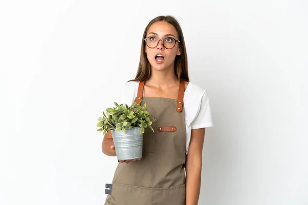 Tuinier Meisje Met Een Plant Geïsoleerde Witte Achtergrond Zoek Naar — Stockfoto