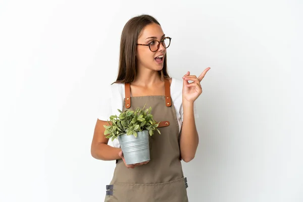 Tuinier Meisje Met Een Plant Geïsoleerde Witte Achtergrond Van Plan — Stockfoto