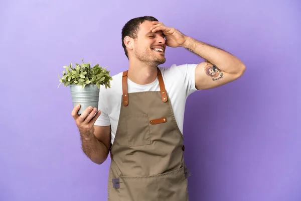Бразильський Садівник Який Тримає Рослину Над Ізольованим Фіолетовим Фоном Посміхається — стокове фото
