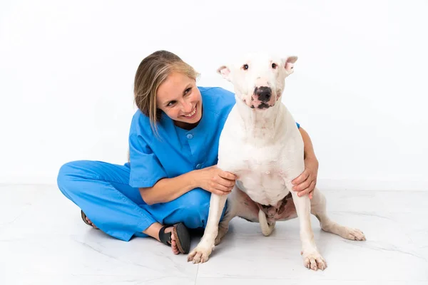 Молодая Английская Ветеринар Собакой — стоковое фото