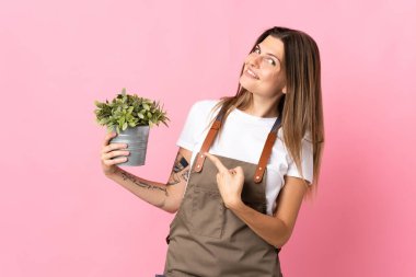 Bahçıvan kadın elinde pembe arka planda izole edilmiş bir bitki tutuyor.