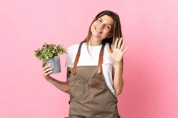 Ogrodnik Kobieta Trzyma Roślinę Izolowane Różowym Tle Salutując Ręki Happy — Zdjęcie stockowe