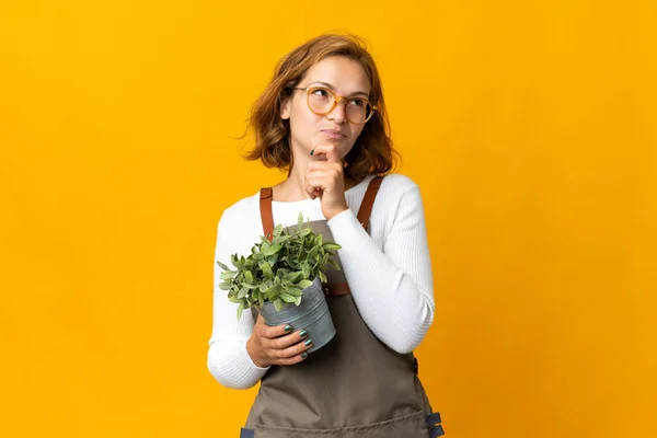 Giovane Donna Georgiana Possesso Una Pianta Isolata Sfondo Giallo Guardando — Foto Stock