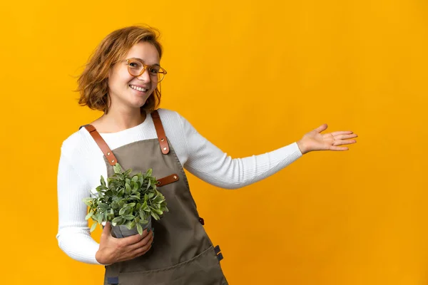 Jovem Georgiana Segurando Uma Planta Isolada Fundo Amarelo Estendendo Mãos — Fotografia de Stock