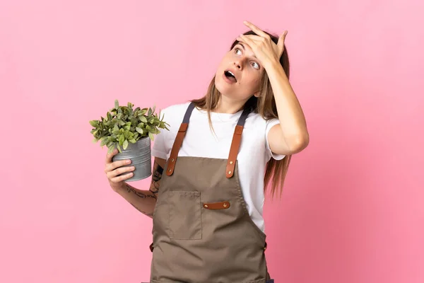 Giardiniere Donna Possesso Una Pianta Isolata Sfondo Rosa Facendo Gesto — Foto Stock