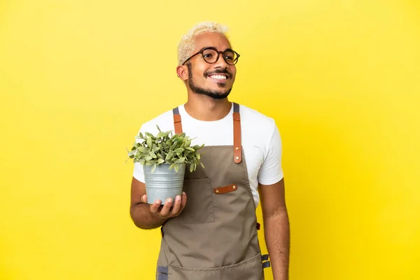 Νεαρός Κολομβιανός Κρατάει Ένα Φυτό Απομονωμένο Κίτρινο Φόντο Σκεπτόμενος Μια — Φωτογραφία Αρχείου
