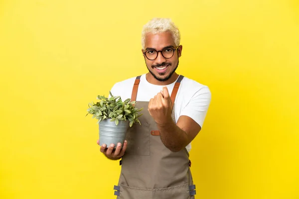 Junger Kolumbianischer Mann Mit Einer Pflanze Auf Gelbem Hintergrund Macht — Stockfoto