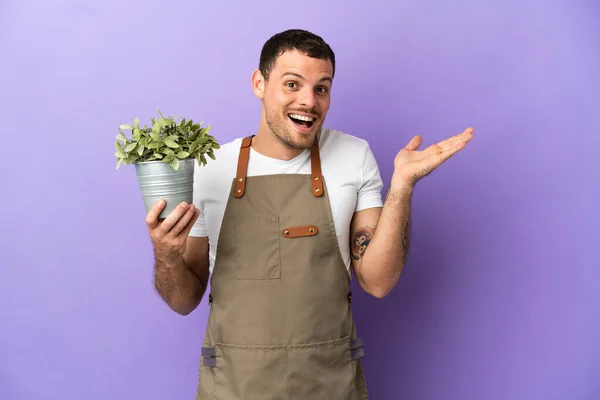 Braziliaanse Tuinman Houdt Een Plant Geïsoleerde Paarse Achtergrond Met Geschokte — Stockfoto