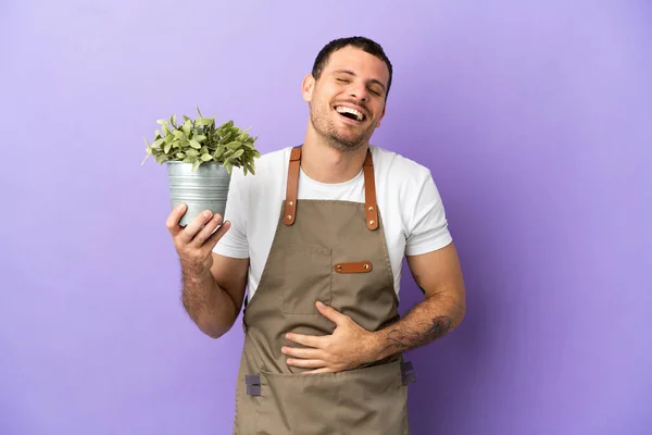 Brazilian Gardener man holding a plant over isolated purple background smiling a lot