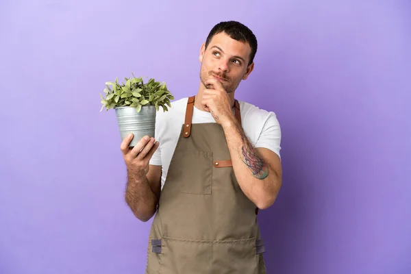 Brasileiro Jardineiro Homem Segurando Uma Planta Sobre Isolado Roxo Fundo — Fotografia de Stock