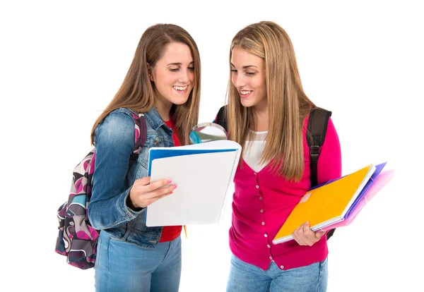 Estudantes aprendendo sobre fundo branco isolado — Fotografia de Stock