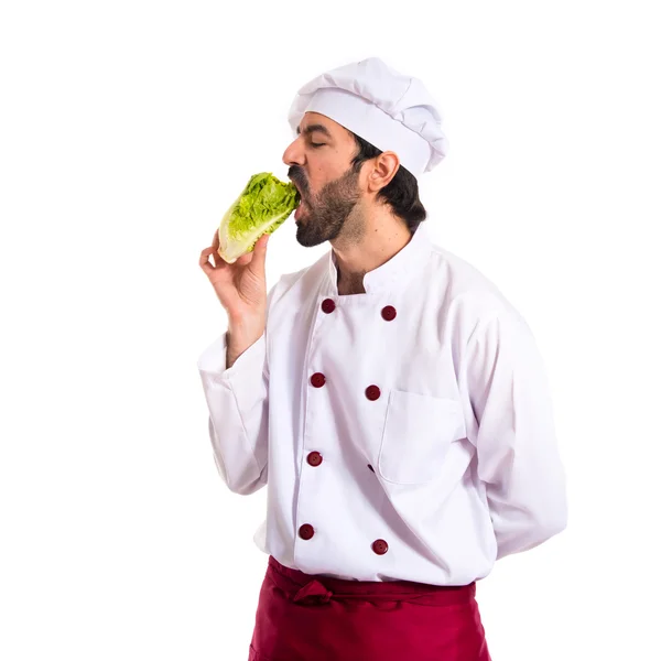 Koch isst einen Salat — Stockfoto