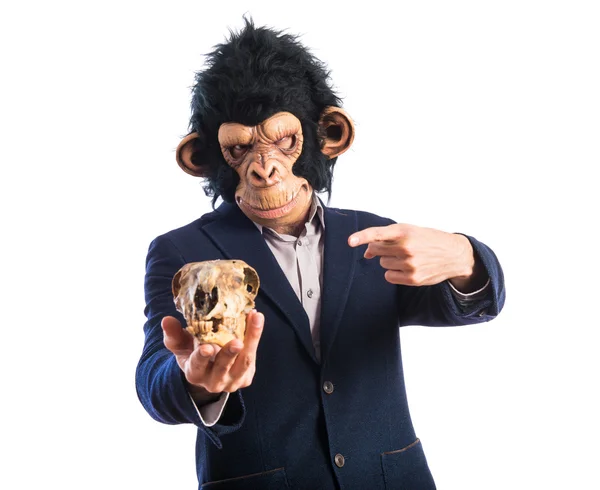 Małpa mężczyzna trzyma czaszkę — Zdjęcie stockowe