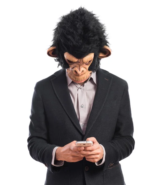 Monkey man writting a sms — Stock Photo, Image