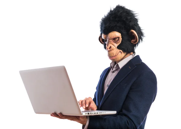 Macaco homem com laptop sobre fundo branco — Fotografia de Stock