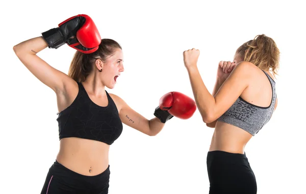 Menina boxe com seu amigo — Fotografia de Stock
