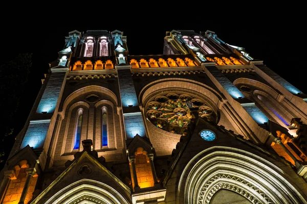 Notre Dame Nice Neo Gotisk Kyrka Nice Cote Azur Frankrike Stockbild