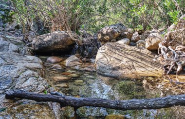 Nehri takip et, Fanebas Assemini, Sardinya, İtalya 'da yürüyüş yapıyor mu?