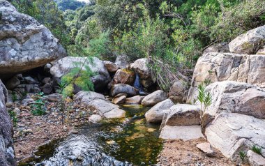 Nehri takip et, Fanebas Assemini, Sardinya, İtalya 'da yürüyüş yapıyor mu?