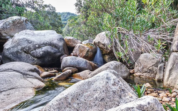 Nehri takip et, Fanebas Assemini, Sardinya, İtalya 'da yürüyüş yapıyor mu?