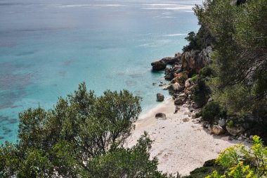 Cala Fuili, Cala Gonone, Dorgali, Nuoro, Sardinya, İtalya 'daki güzel sardunya plajı.