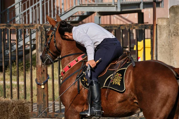 Sa Sortilla, Sortija, Iglesias, Sardinya, İtalya 'da binicilik festivali