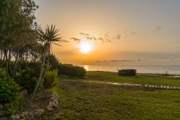 Sonnenaufgang am Strand in Spanien und Palmen — Stockfoto