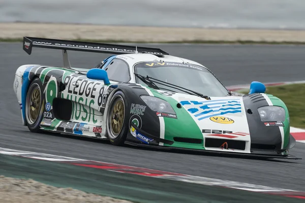 Driver Oliver Campos. Endurance GT. — Stock Photo, Image