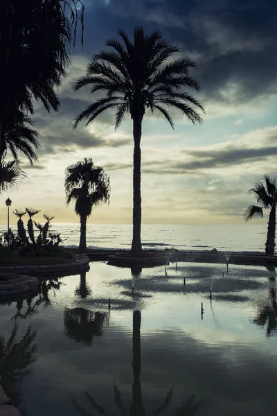 Palm trees on beach — Stock Photo, Image