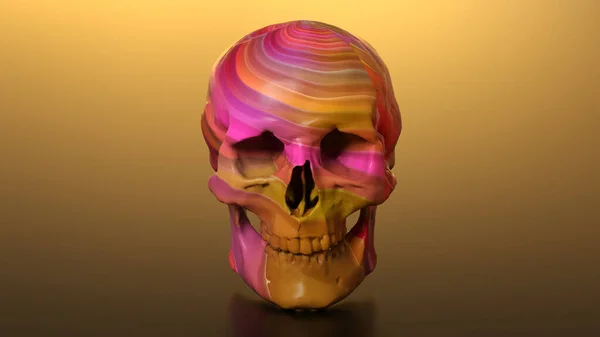 3D渲染彩色颅骨图解 — 图库照片