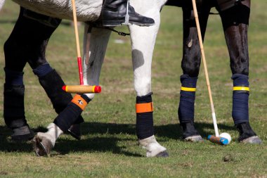 polo oyuncusu