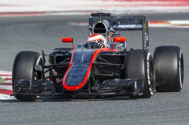 Sürücü Jenson Button. Takım Mclaren