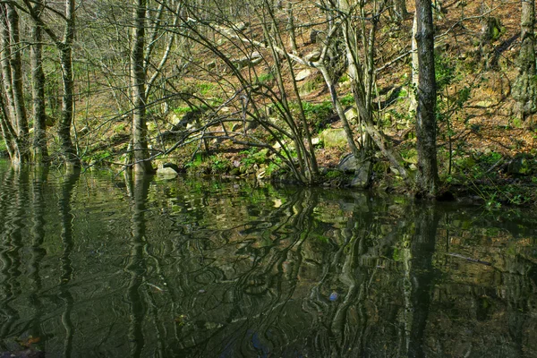 Fluss im Naturpark Montseny — Stockfoto