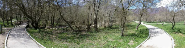 Floresta panorâmica no Parque — Fotografia de Stock