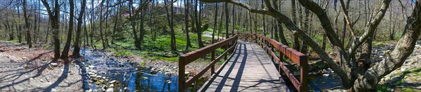 Panoramiczne lasu z mostu — Zdjęcie stockowe