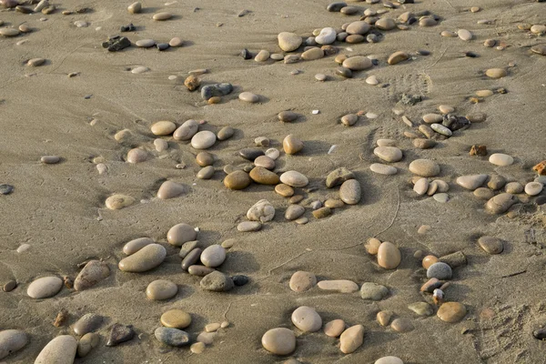 Stones on sand beach — Stock Photo, Image