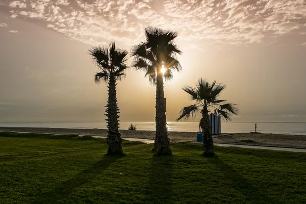 Beau lever de soleil sur la plage — Photo