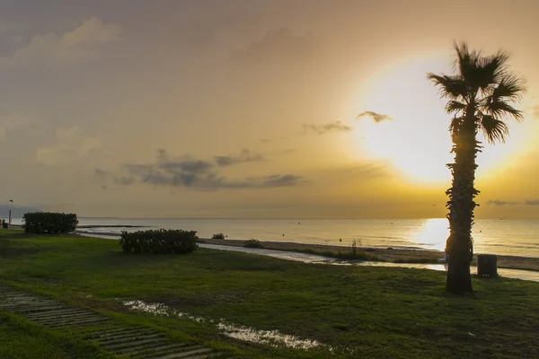 Beautiful sunrise on the beach — Stock Photo, Image