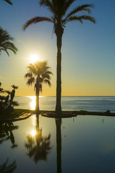 Salida del sol en la playa y palmeras — Foto de Stock