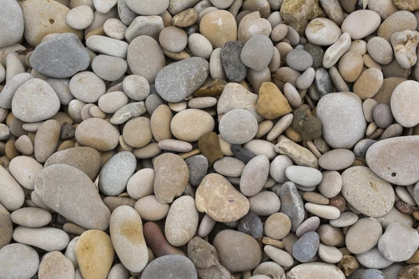 Varied river stones — Stock Photo, Image